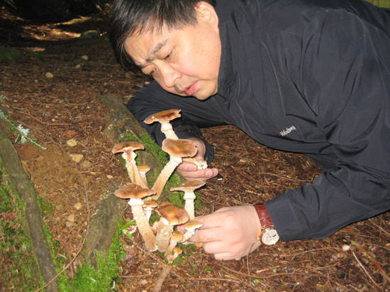 專(zhuān)題報(bào)道