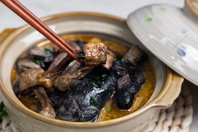 國家蘑菇地理：中國哪里的蘑菇最好吃？