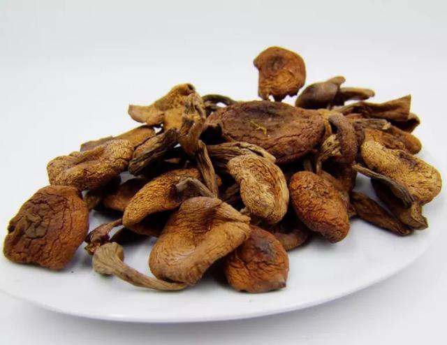 國家蘑菇地理：中國哪里的蘑菇最好吃？