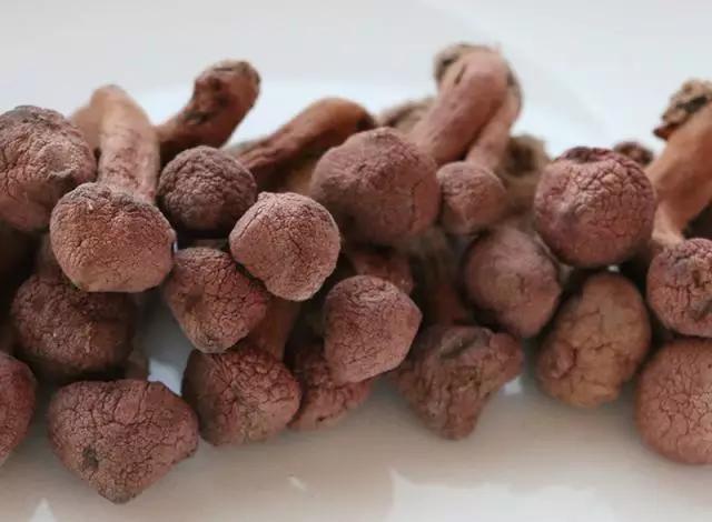 國家蘑菇地理：中國哪里的蘑菇最好吃？