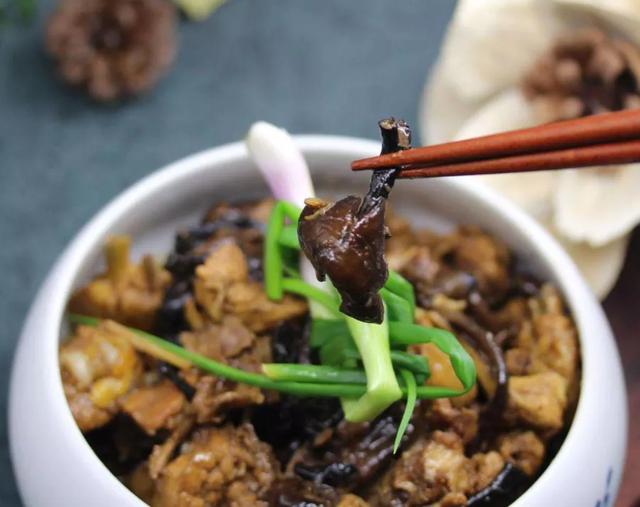 國家蘑菇地理：中國哪里的蘑菇最好吃？