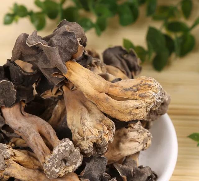 國家蘑菇地理：中國哪里的蘑菇最好吃？