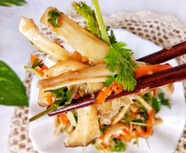 國家蘑菇地理：中國哪里的蘑菇最好吃？